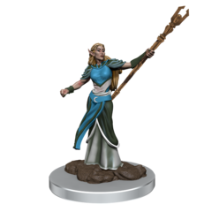 D&D Premium Painted Figure: Female Elf Sorcerer